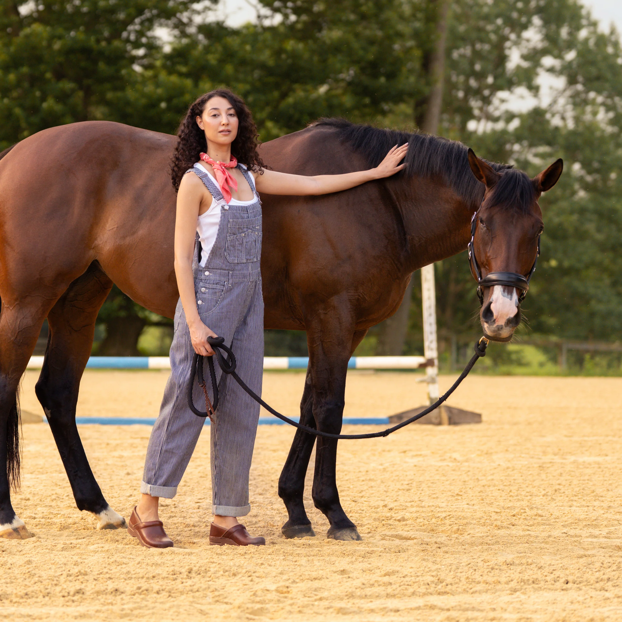 Professional Saddle Full Grain Heritage - Image 5